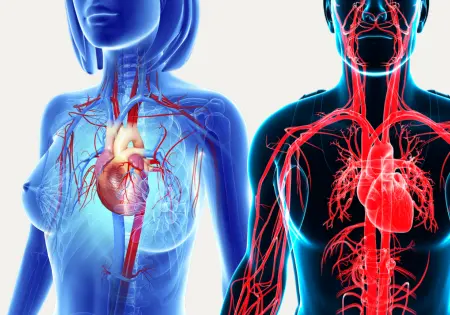 Cuore e Circolazione